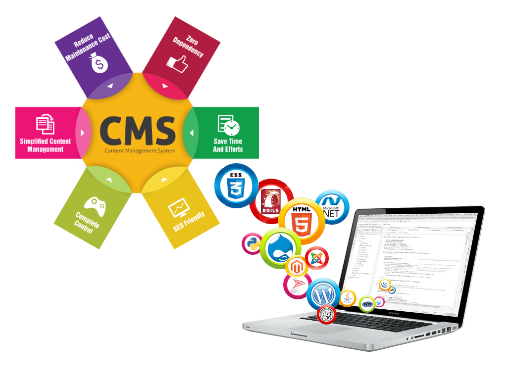 CMS Web Application Development